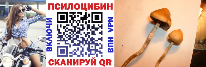 купить закладку  Кировград  Псилоцибиновые грибы мухоморы 